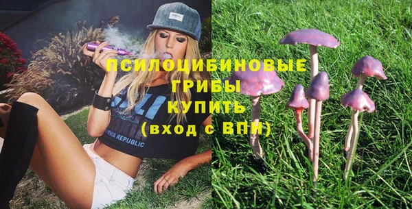 бошки Бронницы