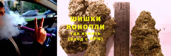 бошки Бронницы