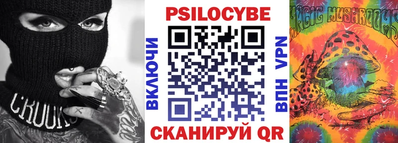 Галлюциногенные грибы Psilocybine cubensis  как найти наркотики  Новосокольники 